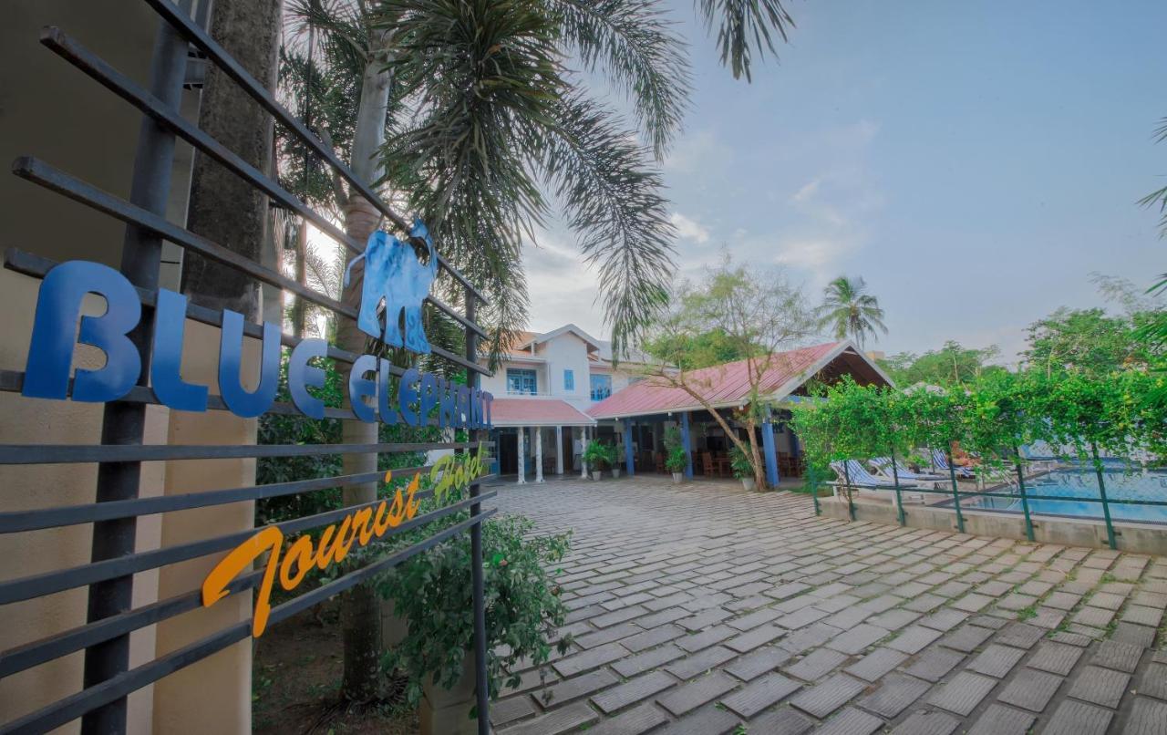 Blue Elephant Boutique Hotel Негомбо Экстерьер фото