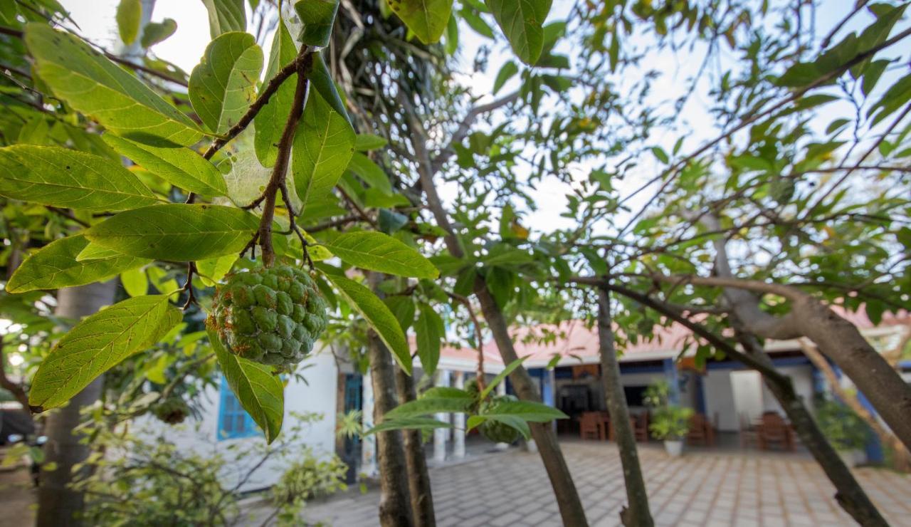 Blue Elephant Boutique Hotel Негомбо Экстерьер фото